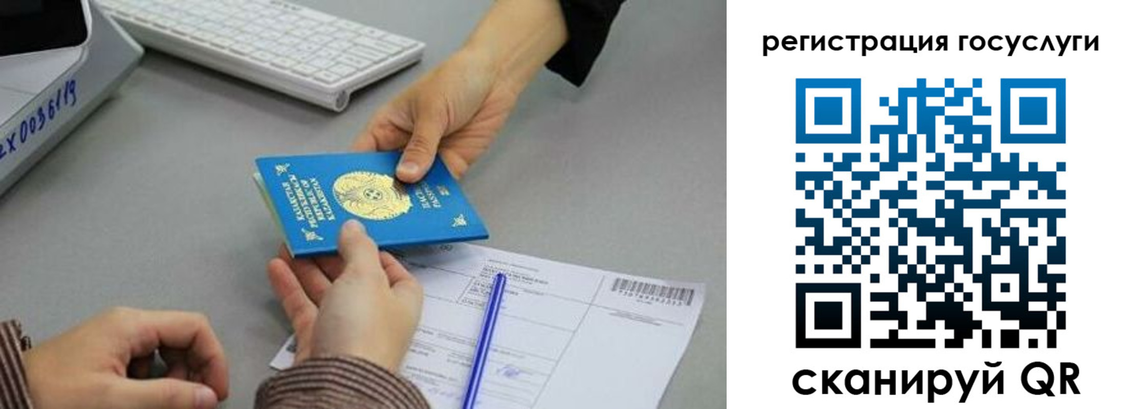 прописка гарантия в Волгограде